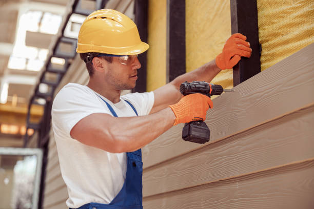 Best Aluminum Siding Installation  in Plains, KS