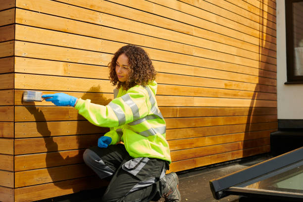 Affordable Siding Repair and Maintenance Services in Plains, KS